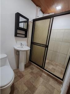 a bathroom with a shower with a toilet and a sink at Cabinas Toucan in Chachagua