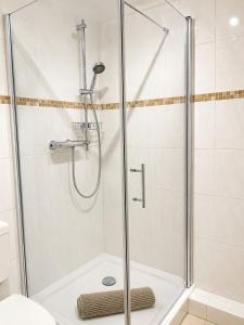 a shower with a glass door in a bathroom at Modernes Design-Apartment mit Balkon & WLAN in Bautzen +4 photos