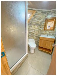 a bathroom with a toilet and a sink and a shower at Domos Frutillar in Frutillar +18 photos
