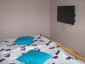 A television and/or entertainment centre at Viktória&Krisztián Apartments