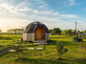 a dome house with a wooden door in a field at Domos Frutillar in Frutillar