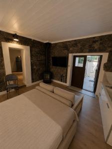 a bedroom with a large bed and a television at Aprosmeno House 5 in Agros