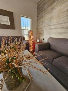 a living room with a couch and a table with a plant at Alberca Privada a 15min del centro de la ciudad in Chihuahua