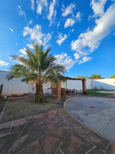 a palm tree in front of a white building at Alberca Privada a 15min del centro de la ciudad in Chihuahua +40 photos