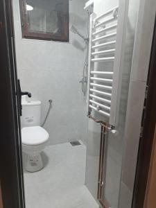a small bathroom with a toilet and a shower at Stefanovic in Valjevo