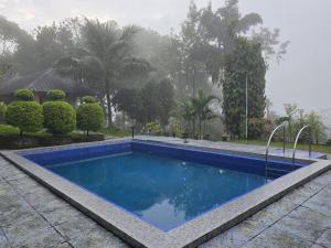 a blue swimming pool in a yard with trees at Sumeru valley vagamon in Idukki