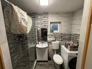 a bathroom with a sink and a toilet at Fele&Ami house in Bontida