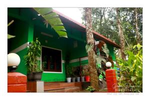 a green house with a tree in front of it at Green wayanad homestay in Kenichira