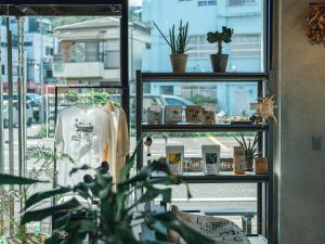 a window of a store with a plant in front of it at By The Tree Room in Amami