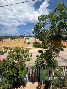 a garden with a fence and some plants and a field at Hostal mar de luna in Pedernales