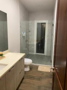 a bathroom with a toilet and a glass shower at Apartamento Dulces Sueños in Bahia