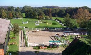 eine Luftansicht eines Betriebs mit Pferden auf dem Feld in der Unterkunft Ponyhof Naeve am Wittensee in Groß Wittensee