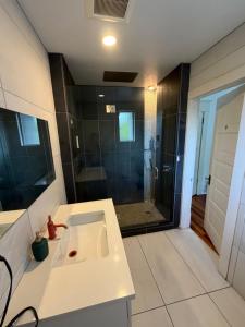 a bathroom with a shower and a white sink at Cambie Guestshouse in Vancouver
