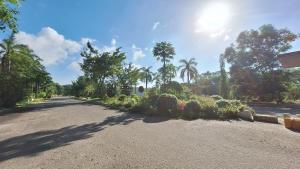 an empty road with trees and bushes on the side at Vacation Villa - Katunayake in Kotugoda
