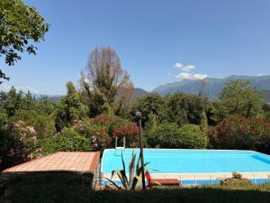 a swimming pool in a garden with mountains in the background at I Barsan in Groppo +16 photos