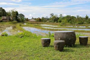 a field with three cement stools in the grass at Bee Camp Bedugul by AGATA in Bedugul