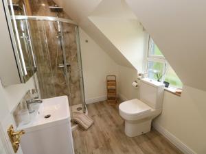 a bathroom with a toilet and a shower at North Studdock Cottage in Pembroke +42 photos
