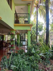 a building with a balcony with a lot of plants at Hostal San Antonio in León