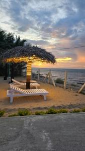 a bench with an umbrella on the beach at YR sea resort in Pāmban