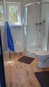 a bathroom with a shower and a toilet at Domek letniskowy Płaska in Płaska