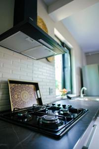 a stove top oven sitting on top of a kitchen counter at Weekend Borjomi in Borjomi