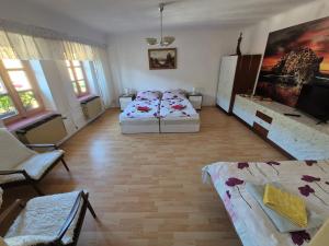 a large room with two beds and a tv at Privat Anna in Loket