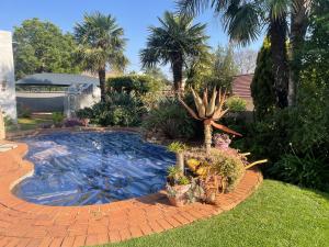 a swimming pool with a cactus in a yard at Sweet Willa Bed and Breakfast in Roodepoort