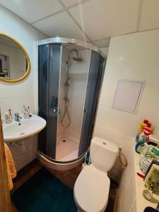 a bathroom with a shower and a toilet and a sink at Chalúpka pod hviezdami in Uličské Krivé