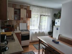 a kitchen with a stove and a refrigerator at Casa Bogdan in Buşteni