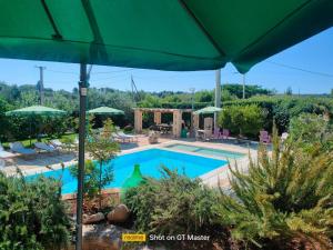 a swimming pool with a large green umbrella at Casolare Lodedo in Ceglie Messapica