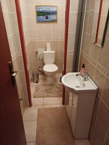 a small bathroom with a toilet and a sink at Izba v centre in Bardejov