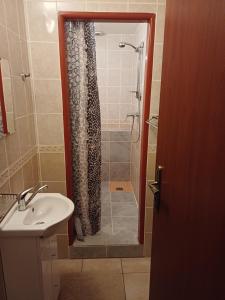 a bathroom with a shower and a sink at Izba v centre in Bardejov