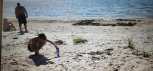 a man playing with a frisbee on the beach at Reedi talu in Rädi