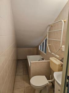 a small bathroom with a toilet and a sink at Pensjonat Pałacyk in Łańcut