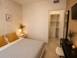 a bedroom with a bed and a desk and a television at Hostal Baobab in El Puerto de Santa María