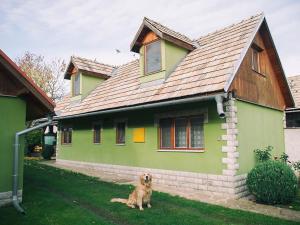 a dog sitting in front of a green house at Zelená chalúpka a Zelený domček in Hrabušice