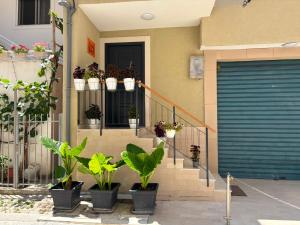a house with a bunch of potted plants on the stairs at Villa Malaj 2 in Vlorë