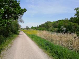 a dirt road next to a field of grass at Studio DG für 1 Person in Kelheim +2 photos