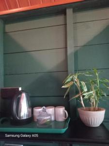 a shelf with a plant and cups and a coffee pot at Lake Face Cabana in Tissamaharama