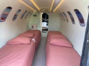 two beds in the back of a plane with pink pillows at Sky Airplane in Tilburg