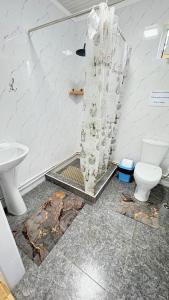 a bathroom with a shower and a toilet in it at Тосор конок үйү AJ in Tossor