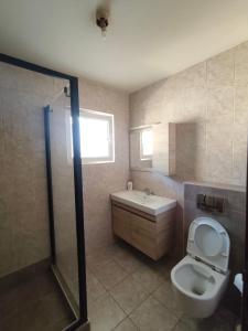 a bathroom with a toilet and a sink and a shower at Stan Foca N in Foča