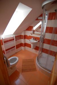 a bathroom with a shower and a toilet and a sink at Penzion Dvůr in Obora