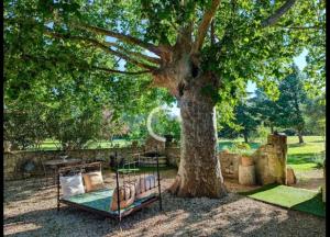 a bed under a tree next to a tree at Douce escapade in Bourg-Saint-Andéol