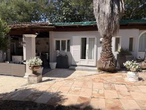 a house with a palm tree in front of it at La Villa Fafouille in Cavalaire-sur-Mer +7 photos