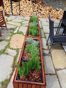 a row of plants in a planter on a patio at Chalet a due passi piste da sci in Valgrisenche