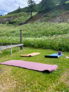 a pink yoga mat on the grass next to a bench at Chalet a due passi piste da sci in Valgrisenche