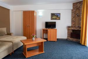 a living room with a couch and a tv at Cabana Trei Brazi in Predeal