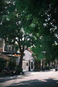 a tree on the side of a street with a building at November House in Thôn Kim Long (1) +13 photos