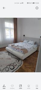 a bedroom with a large bed in a room at Tinohovska vila in Hadžići